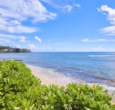 Alaka'i Asset Management - Honolulu, Hawaii