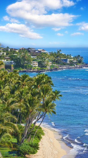 Alaka'i Asset Management