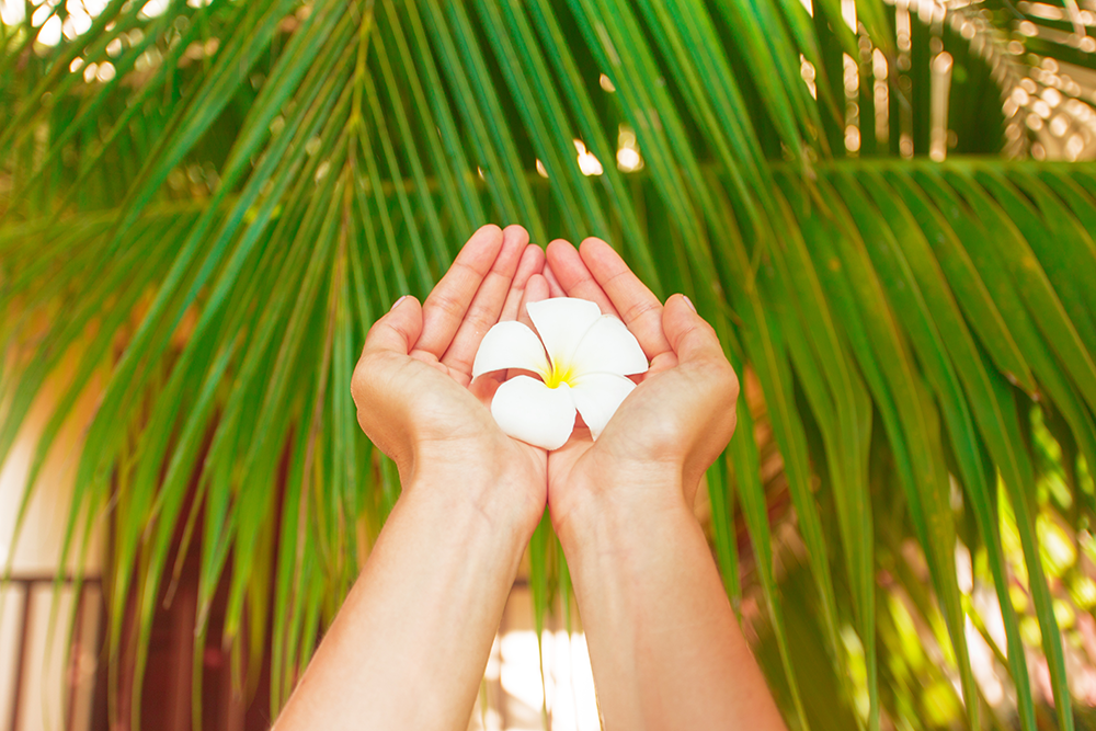 Alaka'i Asset Management